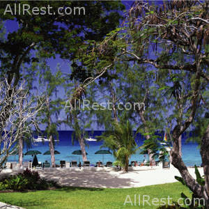 Coral Reef Club 4